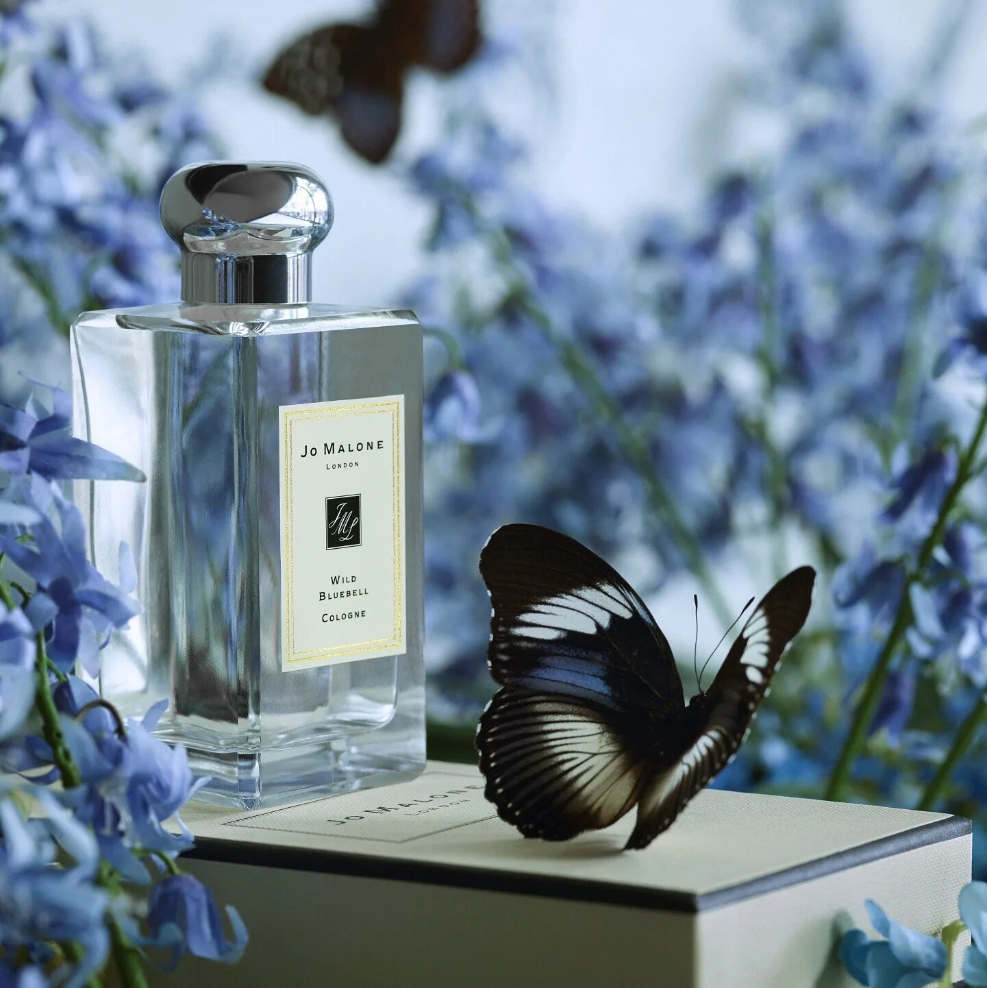 Духи Джо Малон Wild Bluebell. Джо Малон духи колокольчик. Jo Malone духи Wild Bluebell Cologne. Одеколон Jo Malone London Wild Bluebell.