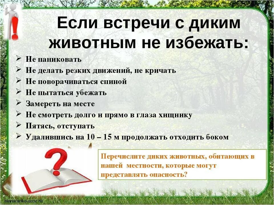 Поведение при встрече с диким животным. Правила поведения с дикими животными. Правила безопасности с дикими животными. Что делать при встрече с дикими животными. Безопасность при встрече с дикими животными.