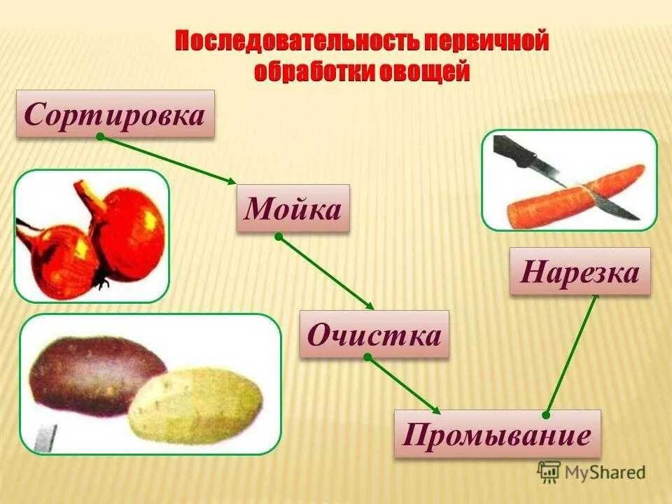 Обработки подготовки овощей. Первичная обработка корнеплодов схема. Технологическая схема первичной обработки овощей. Схема обработки овощей механическим способом. Составьте технологическую схему первичной обработки овощей.