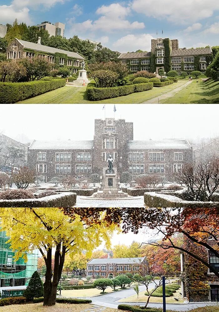 Yonsei факультеты. Корейский университет Йонсей. Университет тэгу Корея. Университет Кванджу. Университет корё в Корее в Сеуле.
