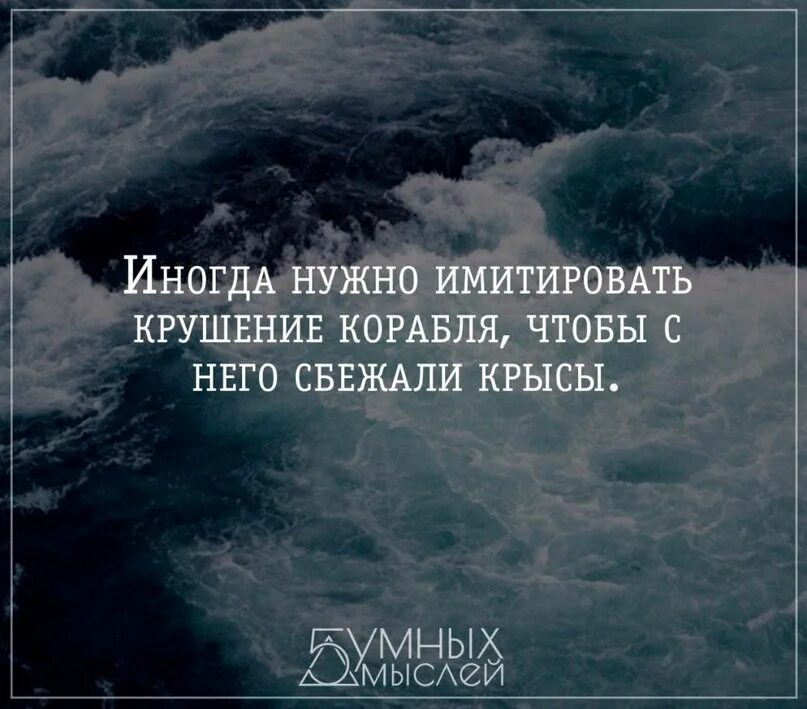 Иногда чтобы крысы сбежали. Иногда надо имитировать крушение корабля. Нало интгда ммитировпть крушение кораьлч.. Иногда нужно имитировать крушение корабля чтобы с него сбежали крысы. Иногда нужно имитирова.