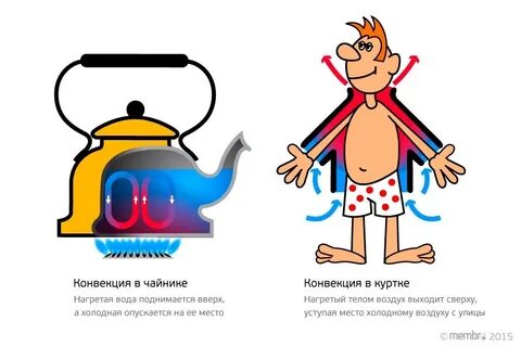 В каких телах наблюдается конвекция