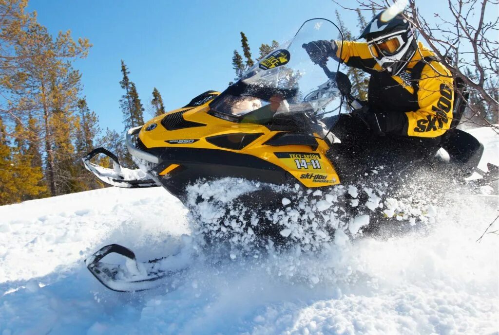 Skandic WT 550. Снегоход Ski-Doo Skandic WT 550. Снегоход BRP WT 550. Ski Doo WT 550 F.