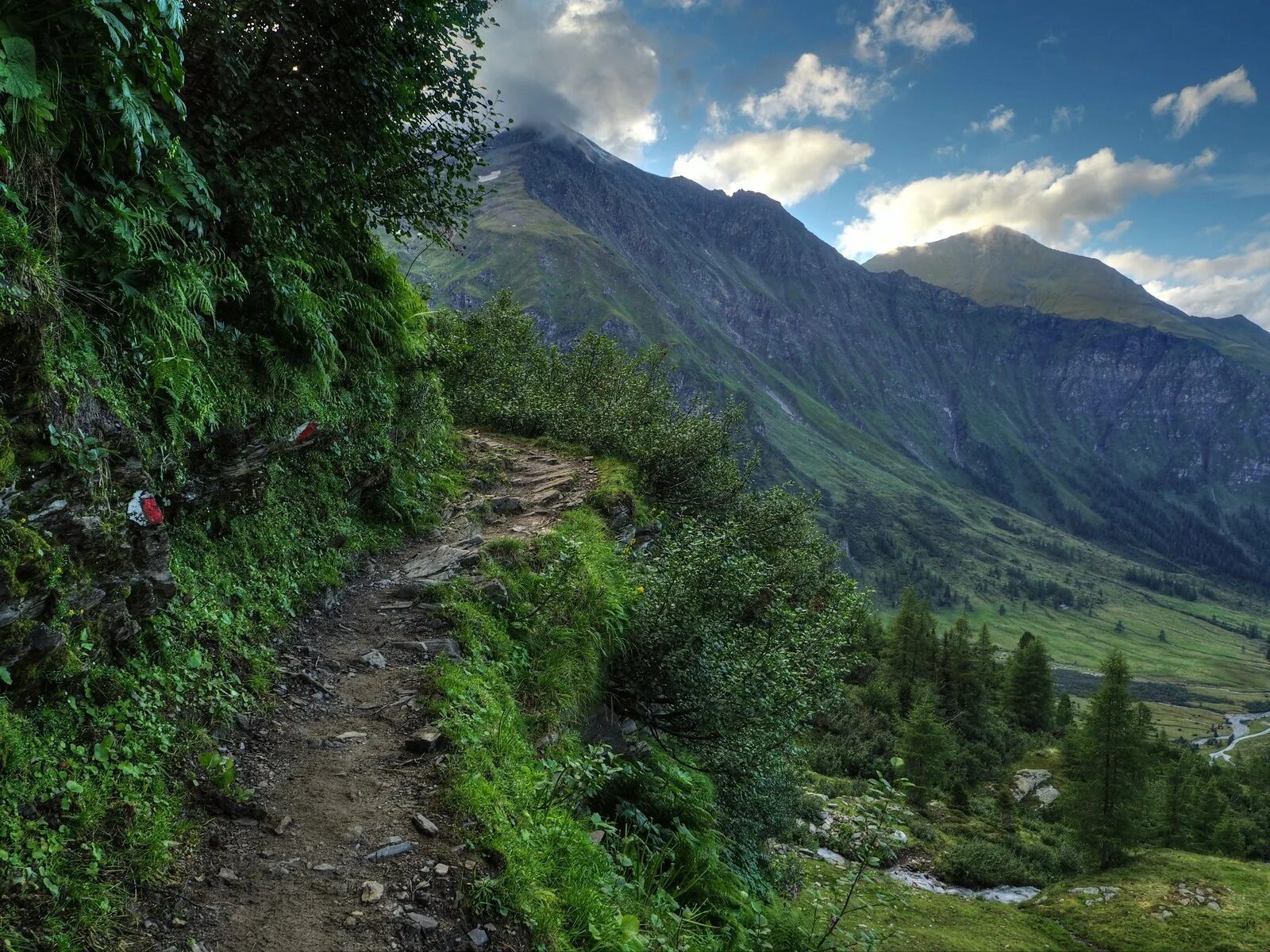 Барилоче горная тропа. Тропа в горах. Извилистая тропа холмы. Тропа хардерграт швейцария. Горная тропа вид сверху.
