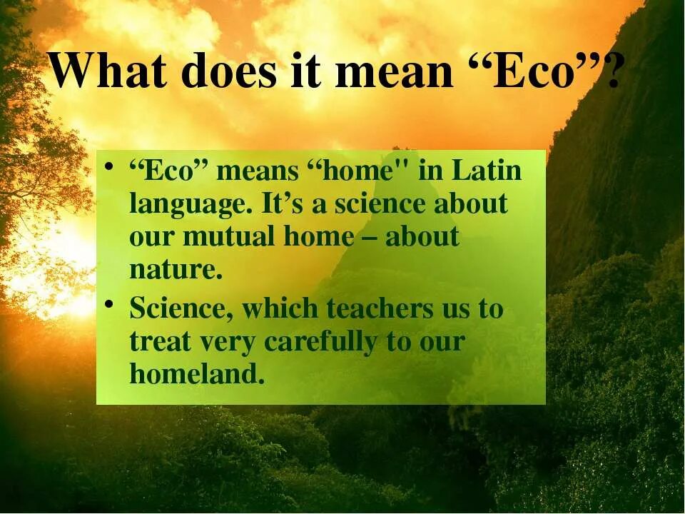 The natural world what does it mean. Ecological problems prezintatsiya. ответить на вопросы what are ecological problems. nature problems. what does it meanshilfock forest.