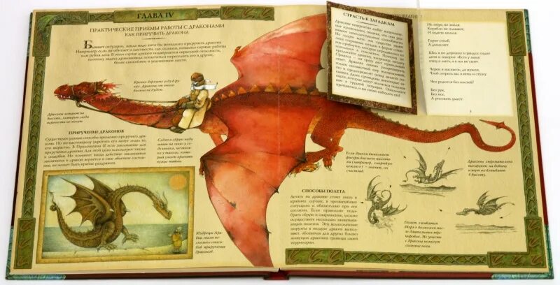 Книга подарок дракона. Драконология Махаон.