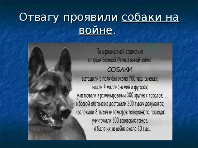 Презентация на тему "Собака Друг Человека" - биология, презентации