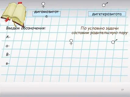 Дигетерозигота это