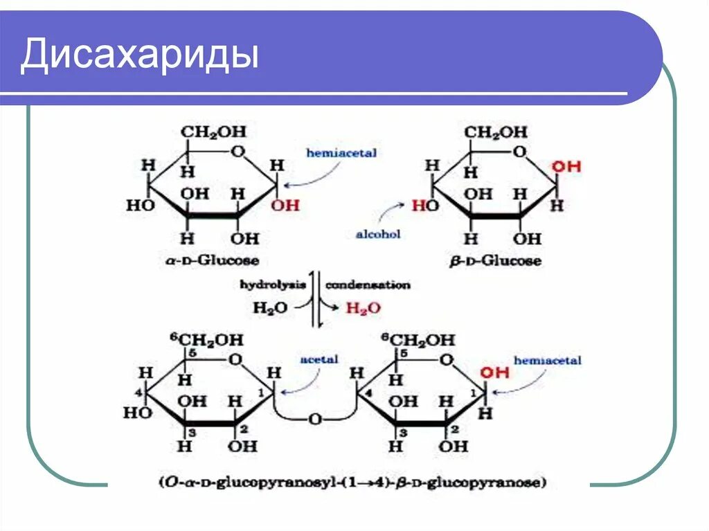 Лактоза в глюкозу и галактозу. Дисахарид d-галактозы. Ацилирование трегалозы. Дисахариды формула.