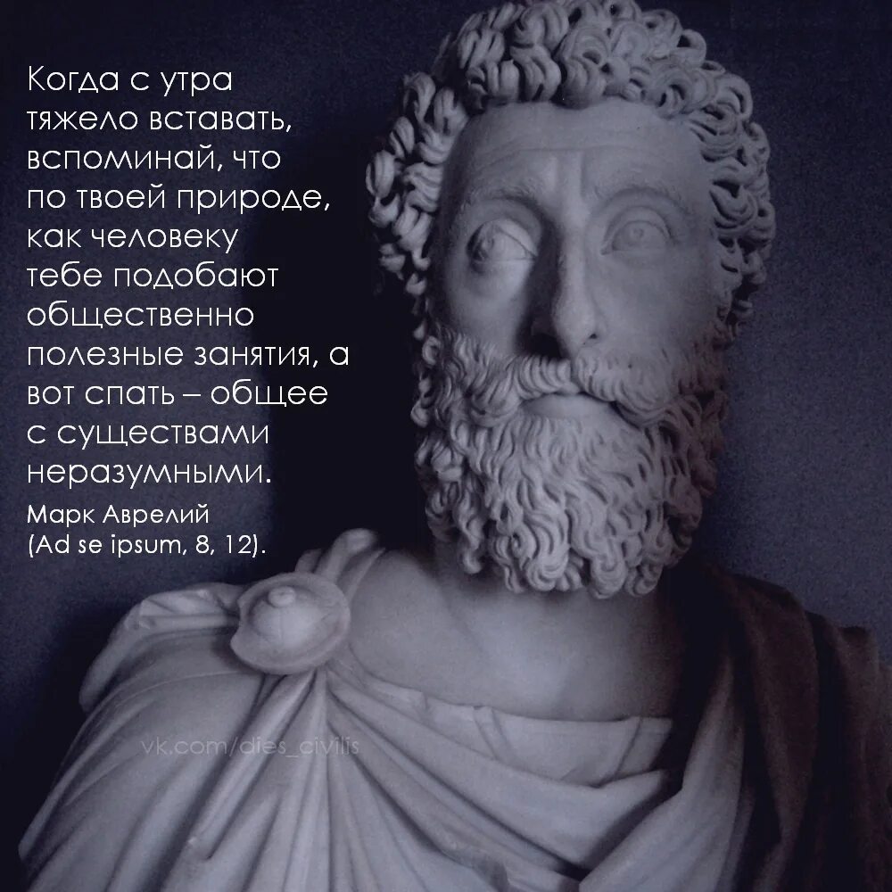 Смысл цитаты марка аврелия. Смысл цитаты марка аврелия