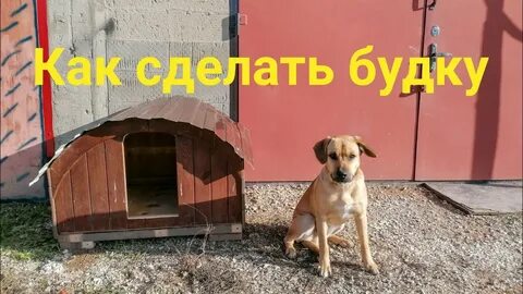 Видео будка