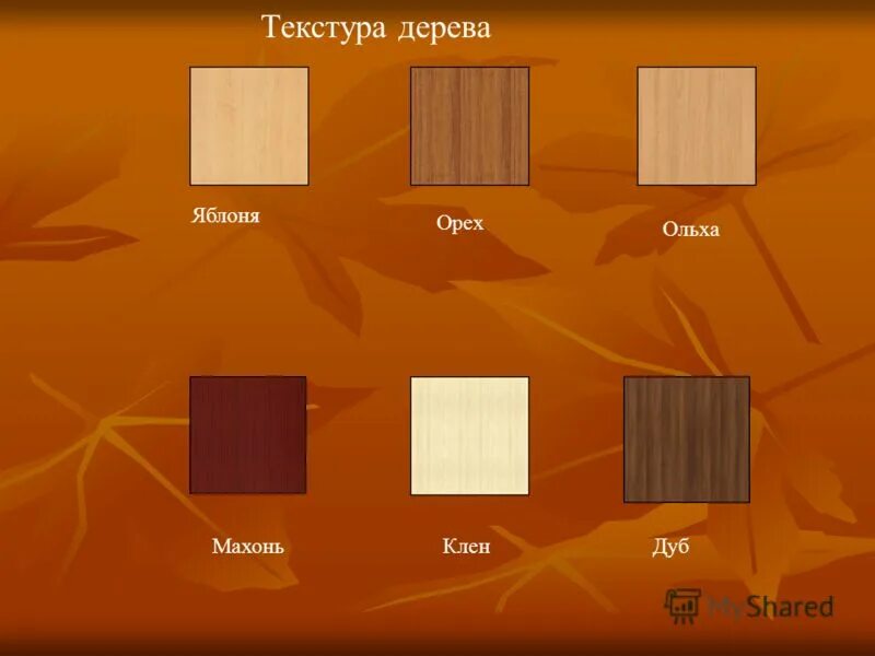 цвет дерева яблоня. цвет древесины. лдсп цвета. махагон венге орех новбытхим. деревья разных пород.