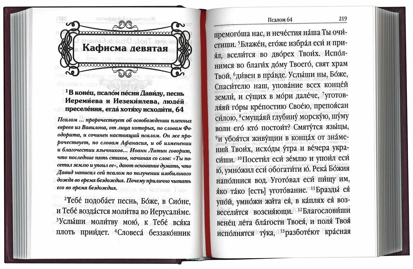 Читать псалтирь 14. Псалтирь книга. Толковая Псалтирь в святоотеческом изъяснении. Молитвы по псалтырю.. Поминание усопших Псалтирь.