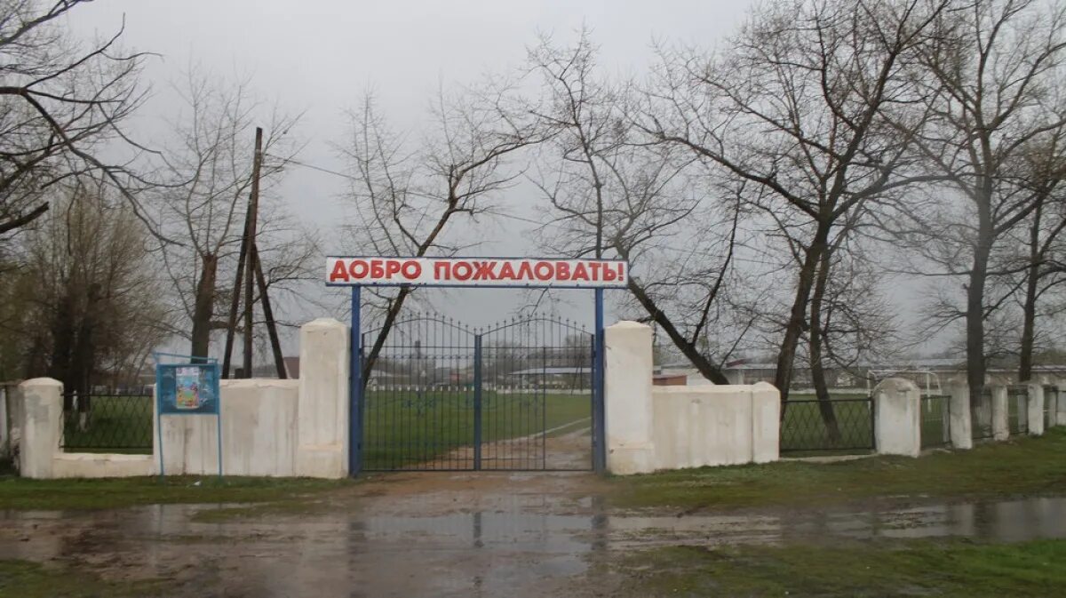 Петропавловка Воронежская область. Петропавловка (Петропавловский район, Воронежская область). Стадион Петропавловка Воронежская область. Село Петропавловка Воронежская область население.