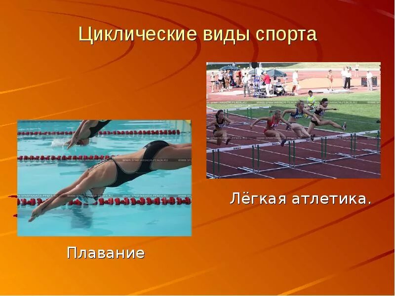 Какой из перечисленных видов спорта считается циклическим. Цикличесскиевиды спорта. цеклонические виды спорта. иклические видыспорта. циклическ е виды спорта.