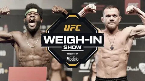 Прямой эфир ufc хамзат