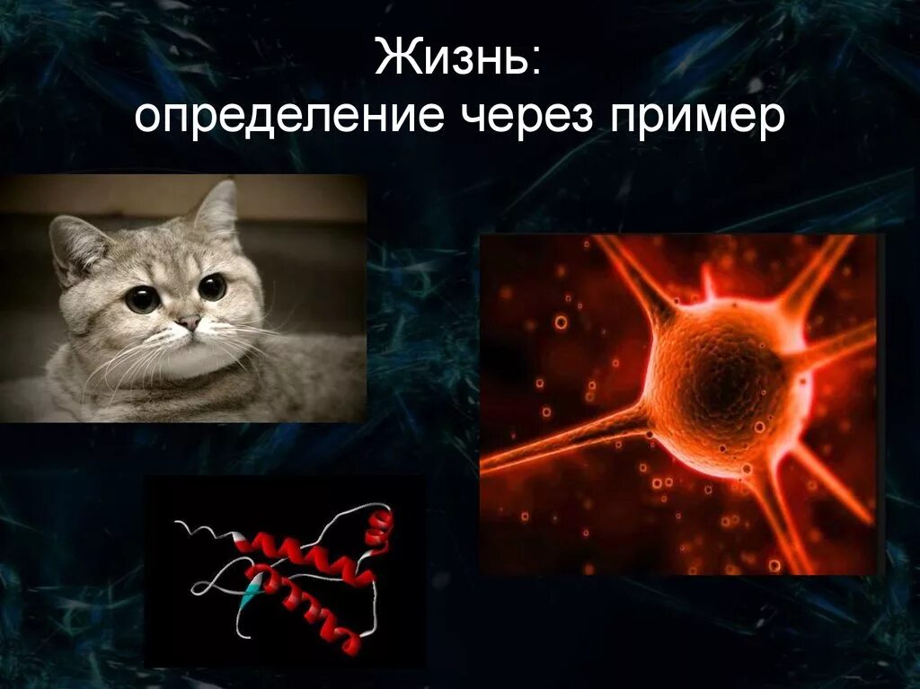 Определения жизни учеными