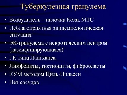 Гранулема туберкулеза