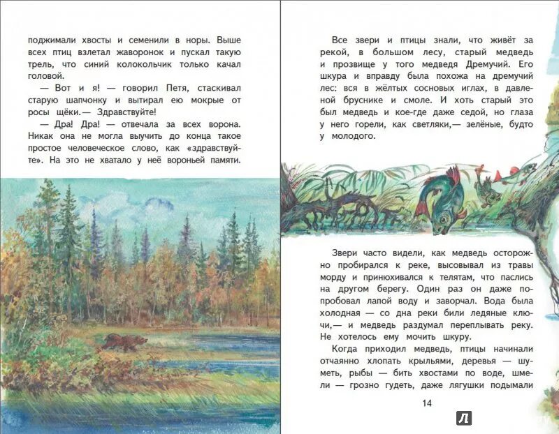 Паустовский дремучий лес произведение. Рассказ Паустовского дремучий медведь. Сказка Паустовского о медведе. Рассказ бурый медведь Паустовский.