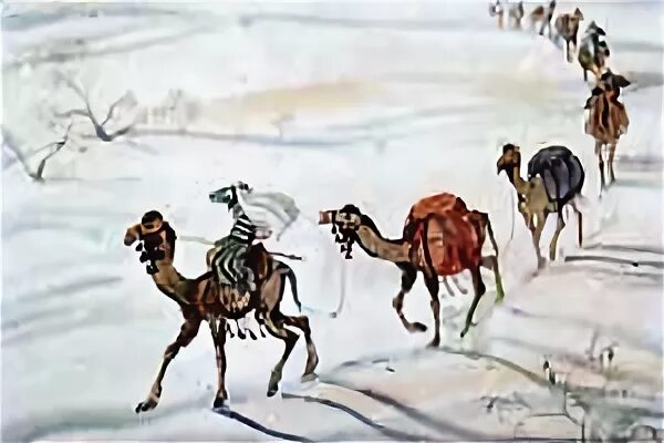 Ночные колокольчики снегирев. Животные копетдагского заповедника. Книги. Снегирева. Г.