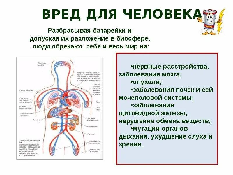 Loop вред. Вред батареек для здоровья человека. влияние батареек на организм человека. вред человеку от батарейки. вред батареек для человека.