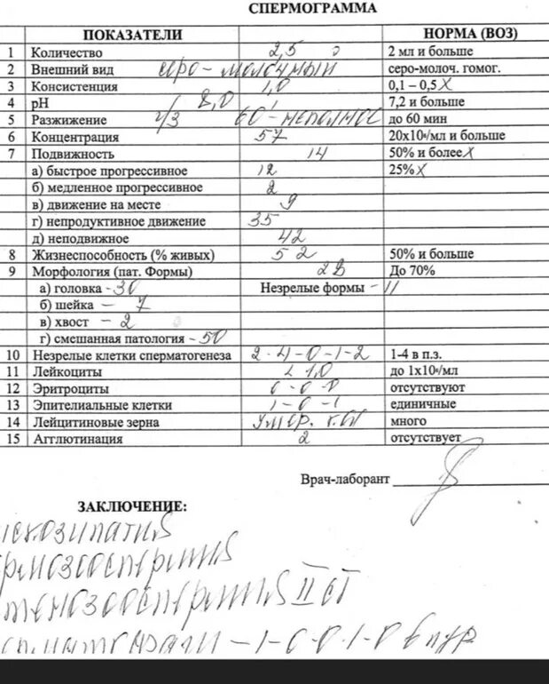 Как читать спермограмму