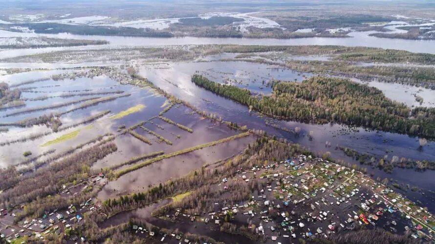 Уровень воды в котласе на сегодня. Реки Коряжмы Архангельская область. Река Вычегда Коряжма. Река Вычегда Котлас. Река в городе Коряжма.