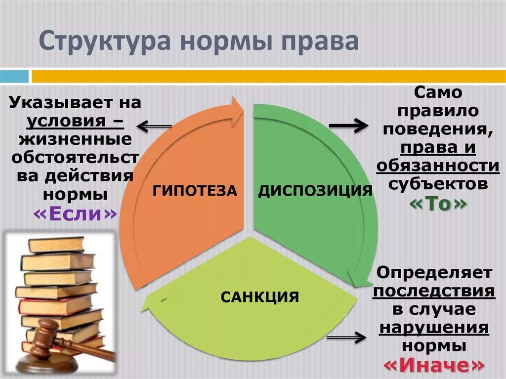 Нормы в составе организации. Структура правовой нормы.