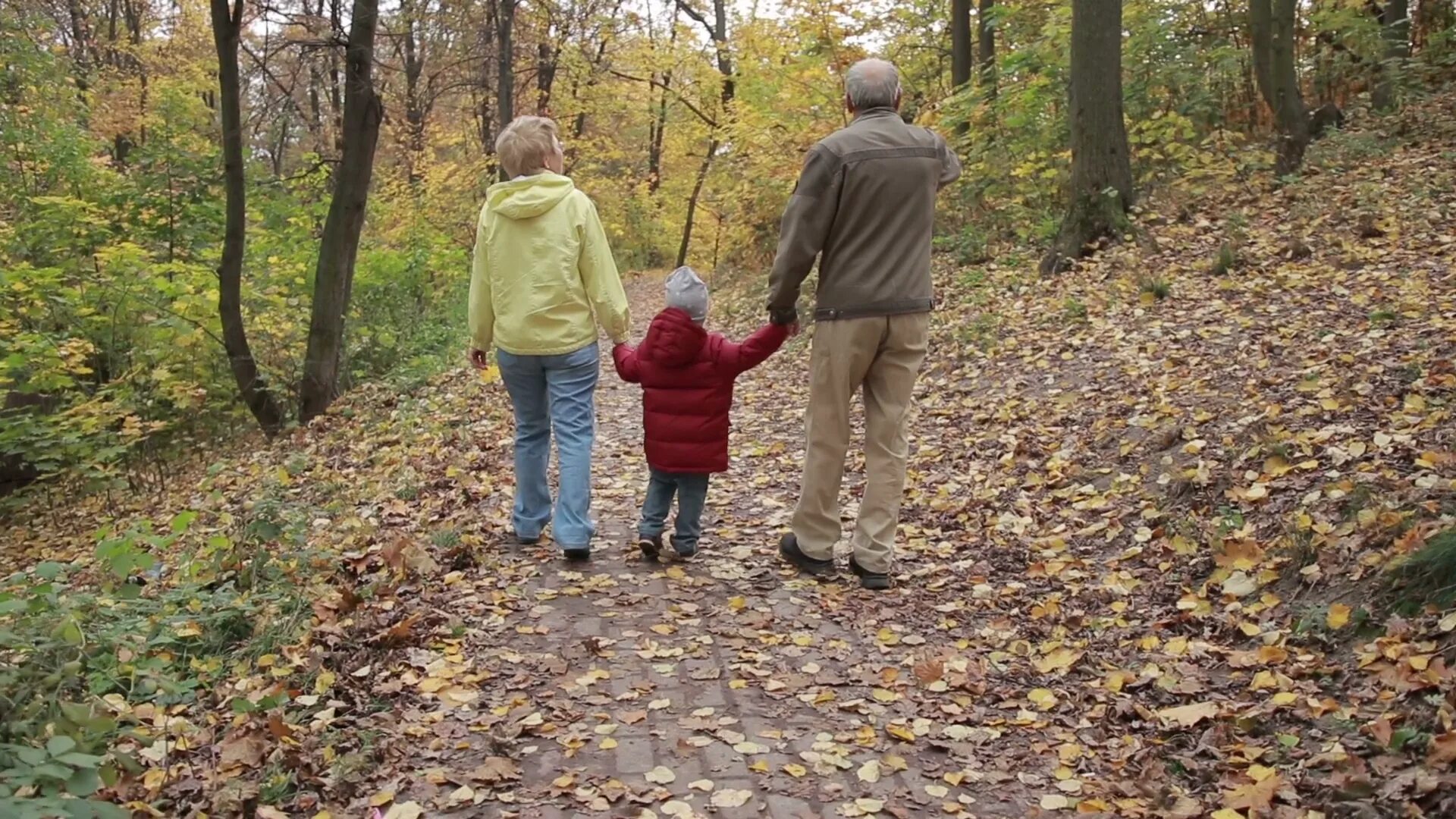 Дедушка и внучка в лесу. Дедушка и бабушка с внуком в парке. Бабушка с внуком со спины. Бабушка с внуками на прогулке. Бабушка и внучка гуляют осенью.