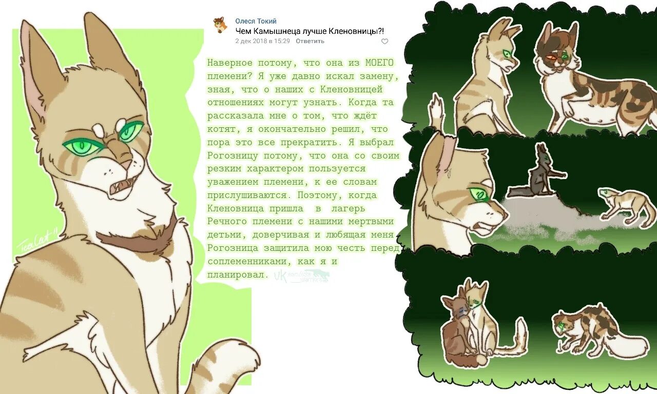 Яблочник коты воители. Коты воители белка приколы. Коты воители приколы. Кв ответ. Коты воители бич и костяк любовь.