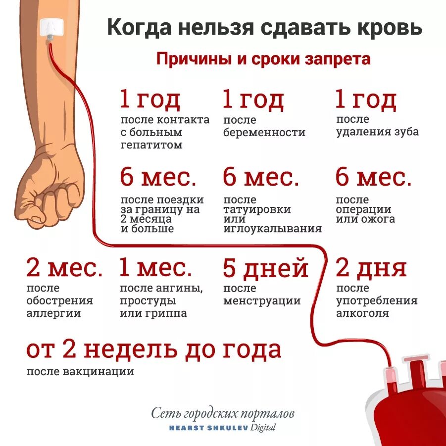 Донорство после операции. После сдачи крови на донорство. после сдачи крови нельзя. как частл можно мдпватькровь. можно ли сдавать кровь на донорство.
