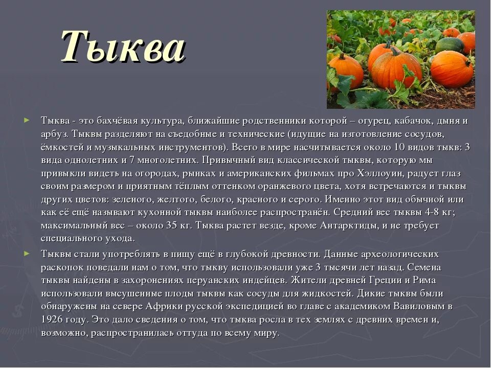 Какие витамины в тыкве