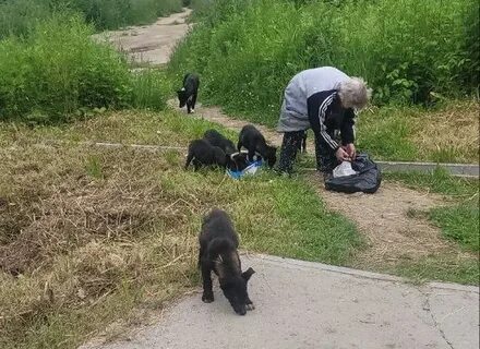 Пойман третий
