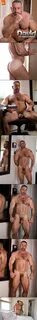 SquirtStudios.xxx.