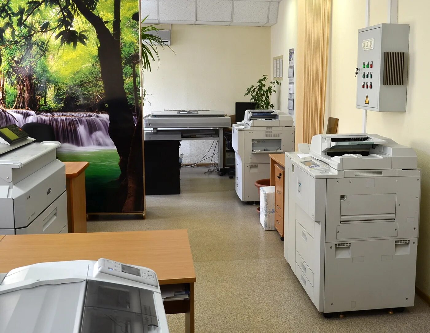 Камалеева 14 копицентр. Пушкинская 270 ижевск организации. Копицентр пушкин. Копицентр пушкин. Копировальный центр.