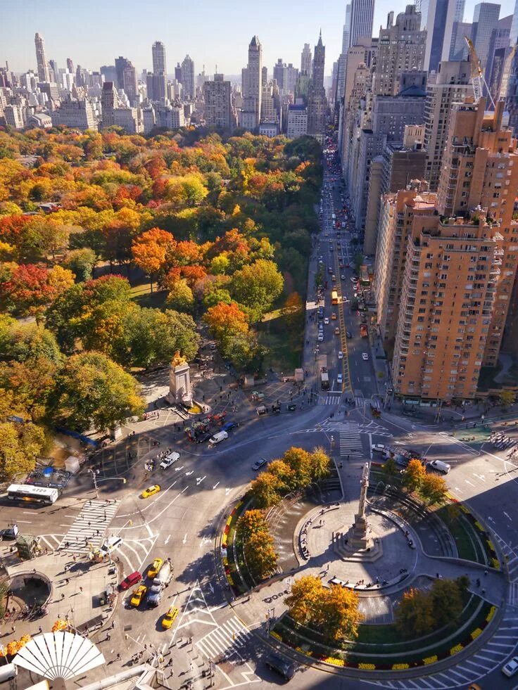 Central area. Парк в Нью-Йорке. Центр парк Нью-Йорк. Центральный парк в Нью-Йорке 1873. Центральный парк Нью-Йорк площадь.