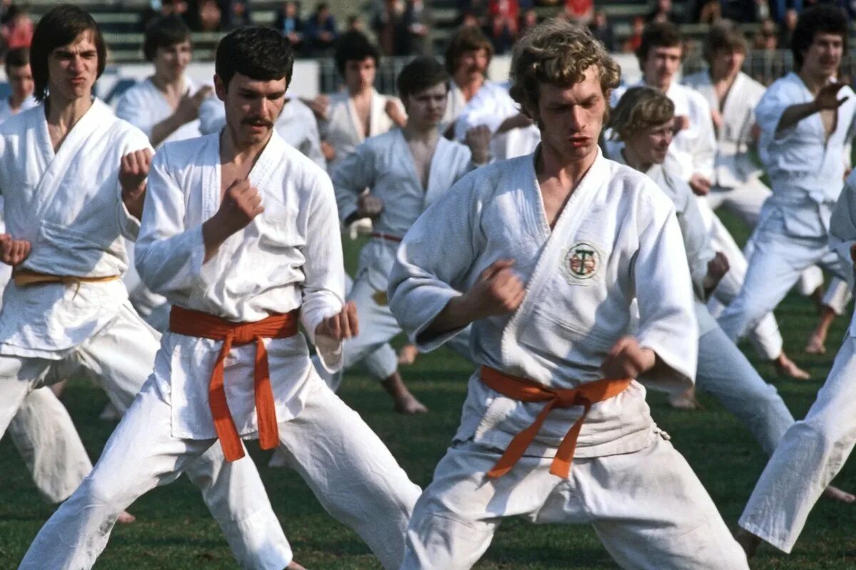 часть 1. тадеуш касьянов каратэ. тхэквондо зарождение корея. рукопашный бой в армии ссср. алексей штурмин каратэ ссср.