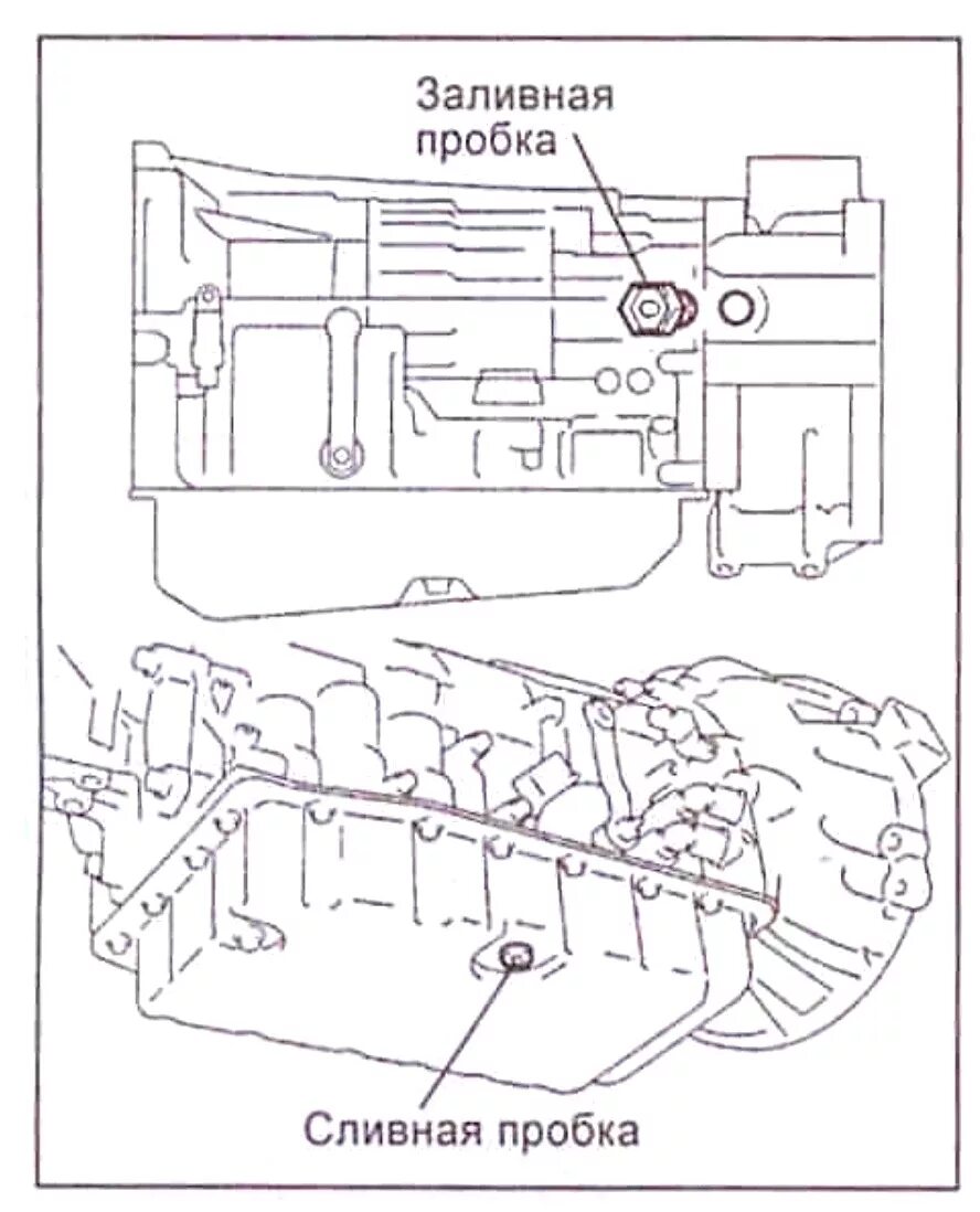 Уровень масла лексус. Заливная пробка АКПП Land Cruiser 100. Заливная пробка АКПП Лексус gx460. Сливная пробка АКПП Прадо 150. Заливная пробка АКПП Prado 150.