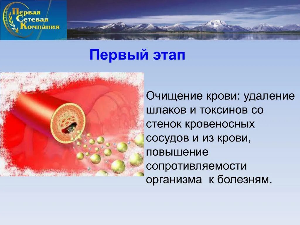 Как очищается кровь. Как очищается кровь в организме человека естественным путем. Кровь, не очищенная от шлаков, содержит. Очистить кровь от шлаков.