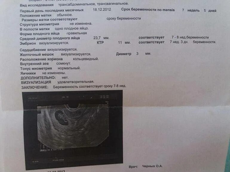 Трансабдоминальное УЗИ на 6 неделе беременности. Желточный мешок на 5 неделе беременности на УЗИ. УЗИ 10 недель беременности показатели. УЗИ на 7 неделе беременности показатели