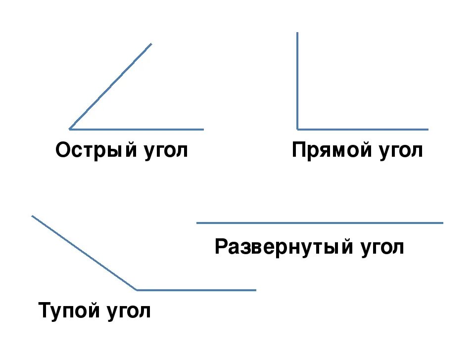 Острый угол. Острые тупые и прямые углы.