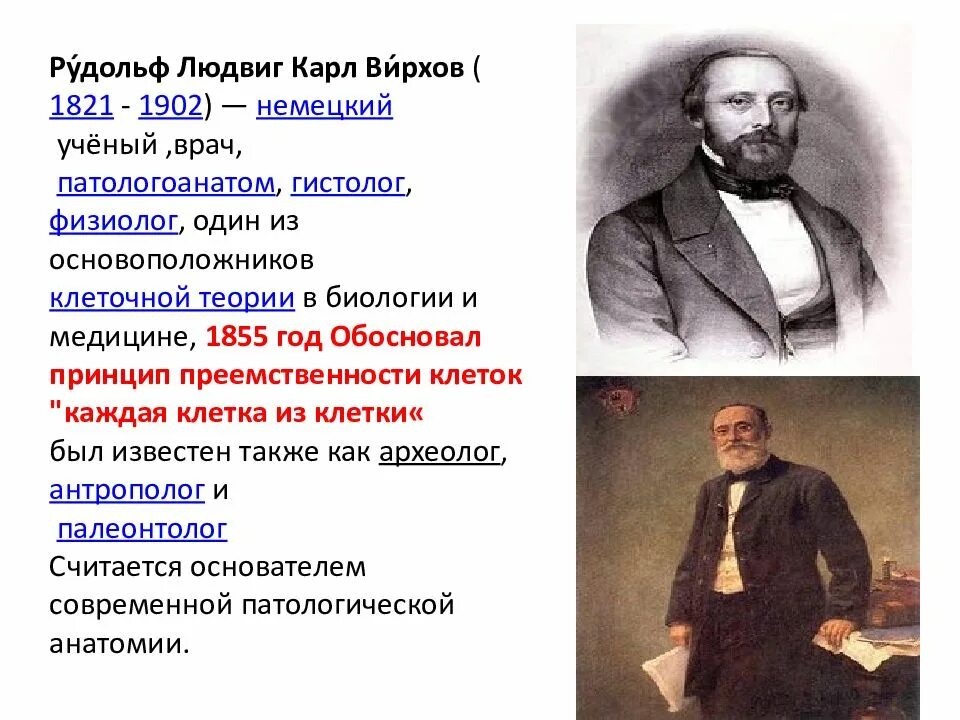 Портреты ученых по биологии для огэ. Учёные в биологии и их открытия. Ученые огэ биология. Ученые огэ. Ученые биологи егэ.