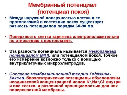 Происхождение мембранного потенциала