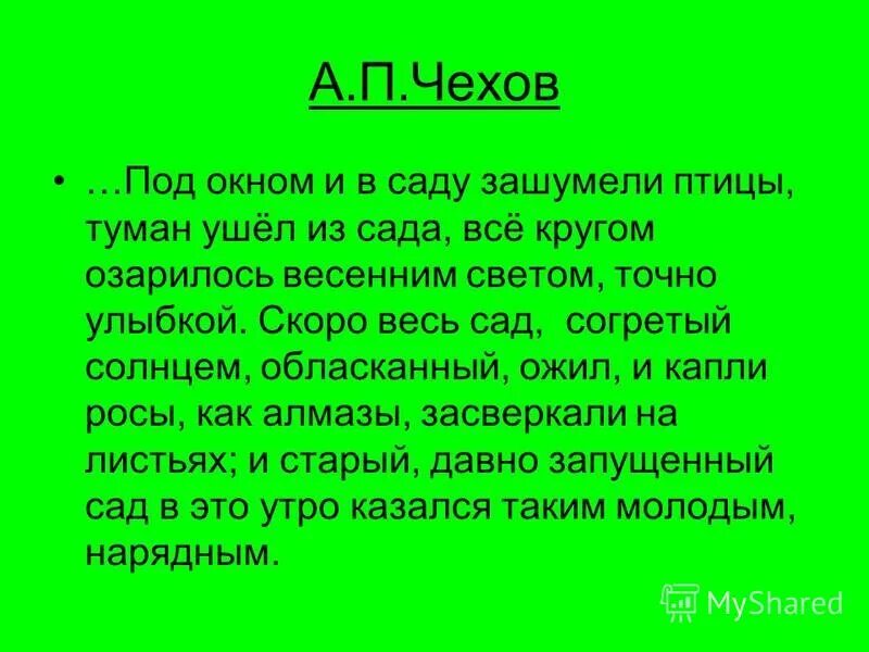 скоро весь сад согретый солнцем. лето солнце. летний рассвет. весенний солнцеворот ярило. закат жизни.