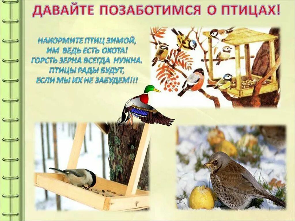 Как помочь животным в зимнее время рисунок