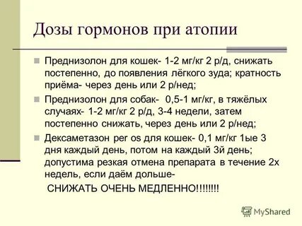 Преднизолон собаке при аллергии дозировка