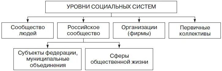 Приведите пример социальной системы. Уровни социальной системы. Социальная система основные компоненты и уровни. Подсистемы социальной системы. Выделите основные уровни социальных систем.