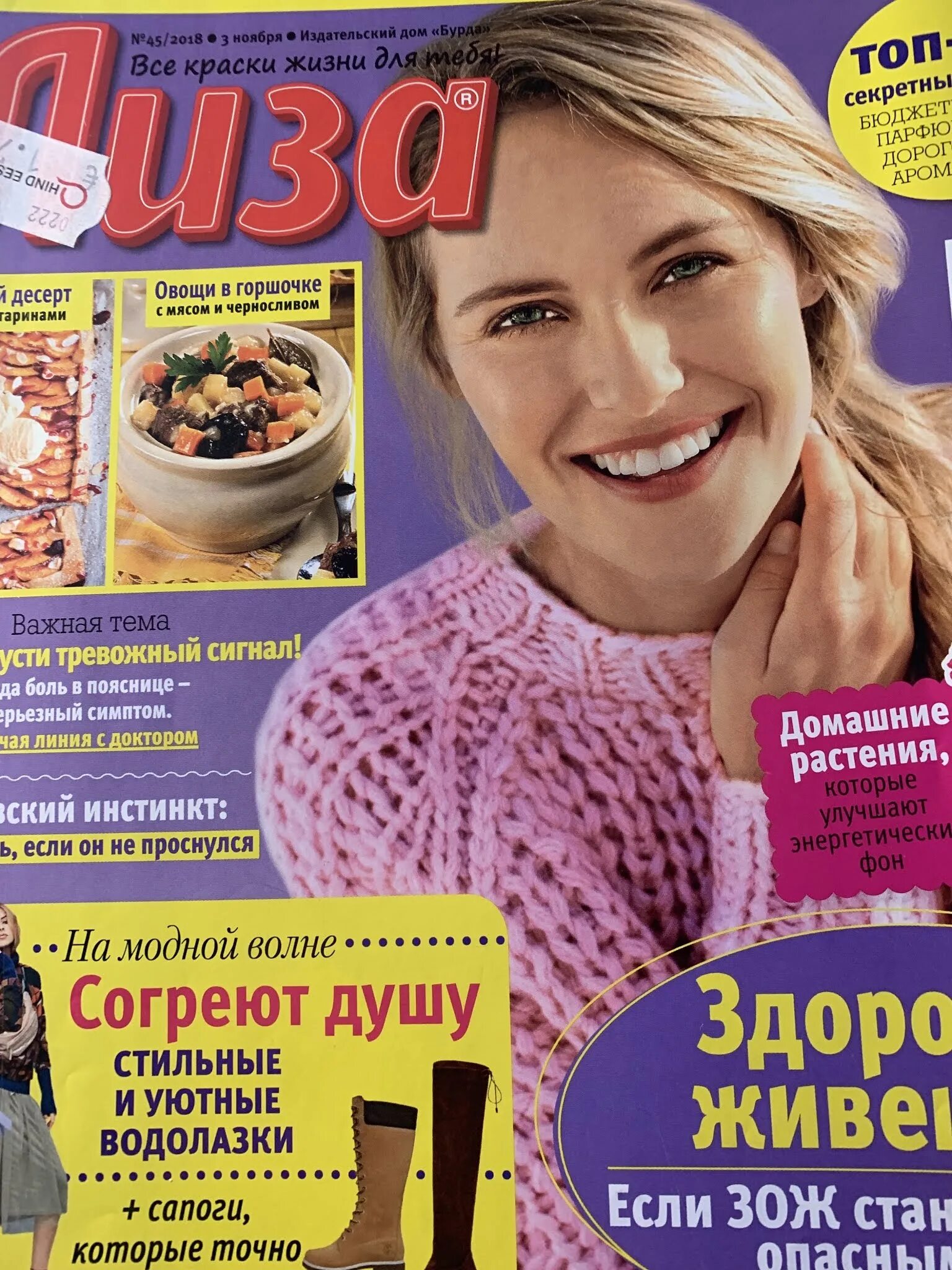 Женский журнал. Журнал 2018 года. Журнал 2018 года. Домашний журнал. Журнал 2018 года.