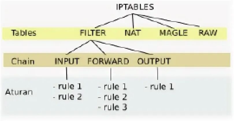 Input forward. Chain input output forward. iptables raw.