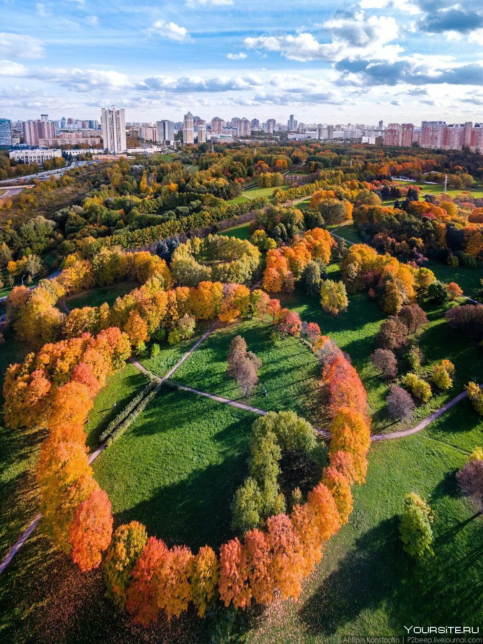 Москва ботанический сад мгу аптекарский огород. Красивые парки в москве. Измайловский парк парк в москве. Пкио «сокольники» в москве. Царицыно парк сад.